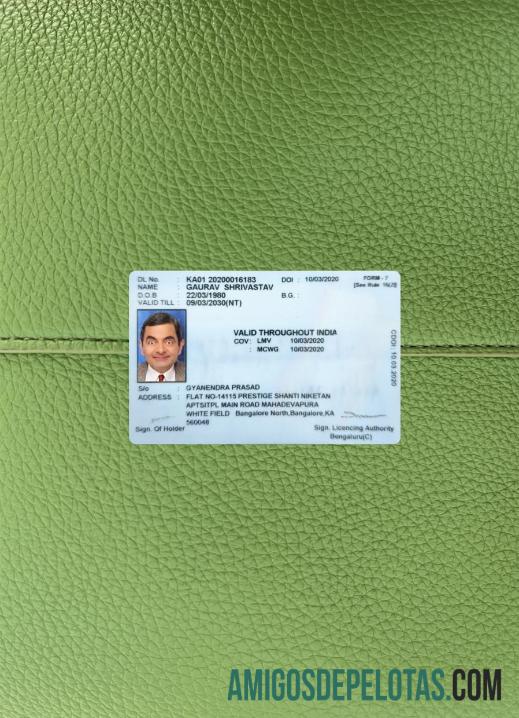 Carteira de habilitação do estado de Karnataka da Índia fotolook frente amostra